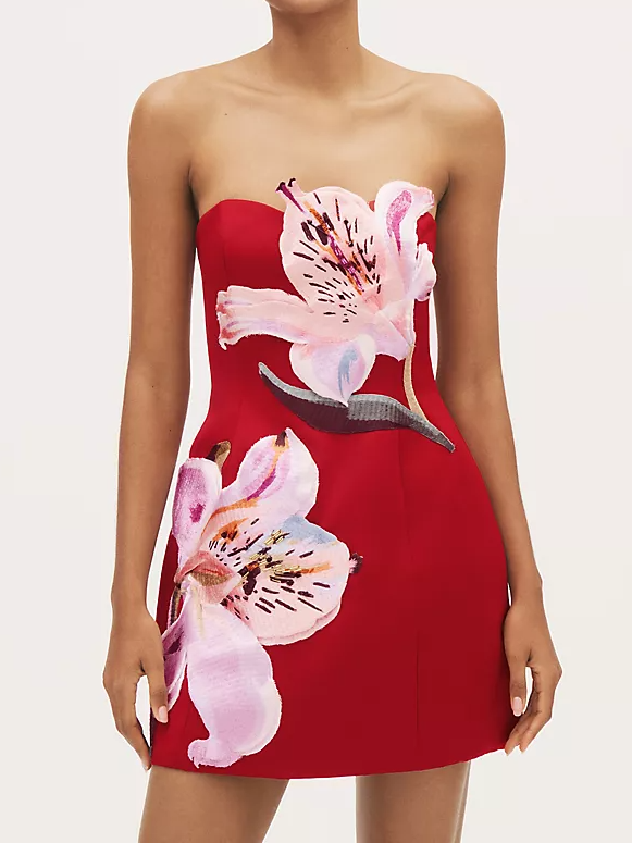 Rosario Floral Appliqué Mini Dress