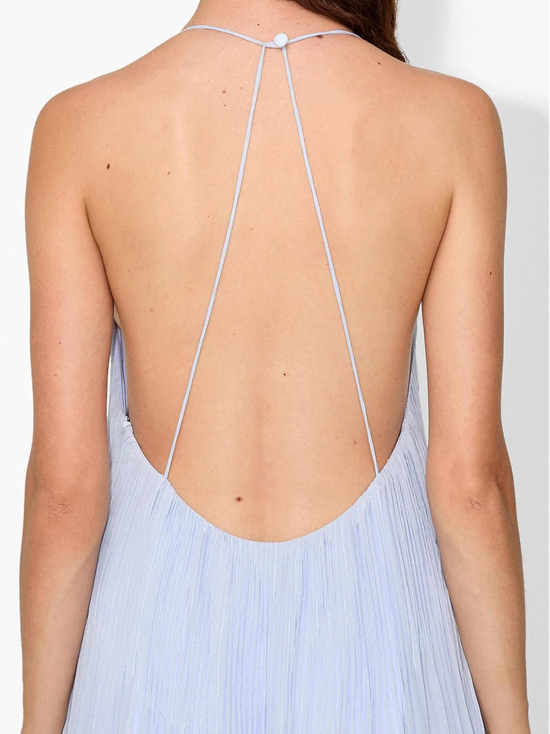 Haydin Maxi Dress - Hydrangea