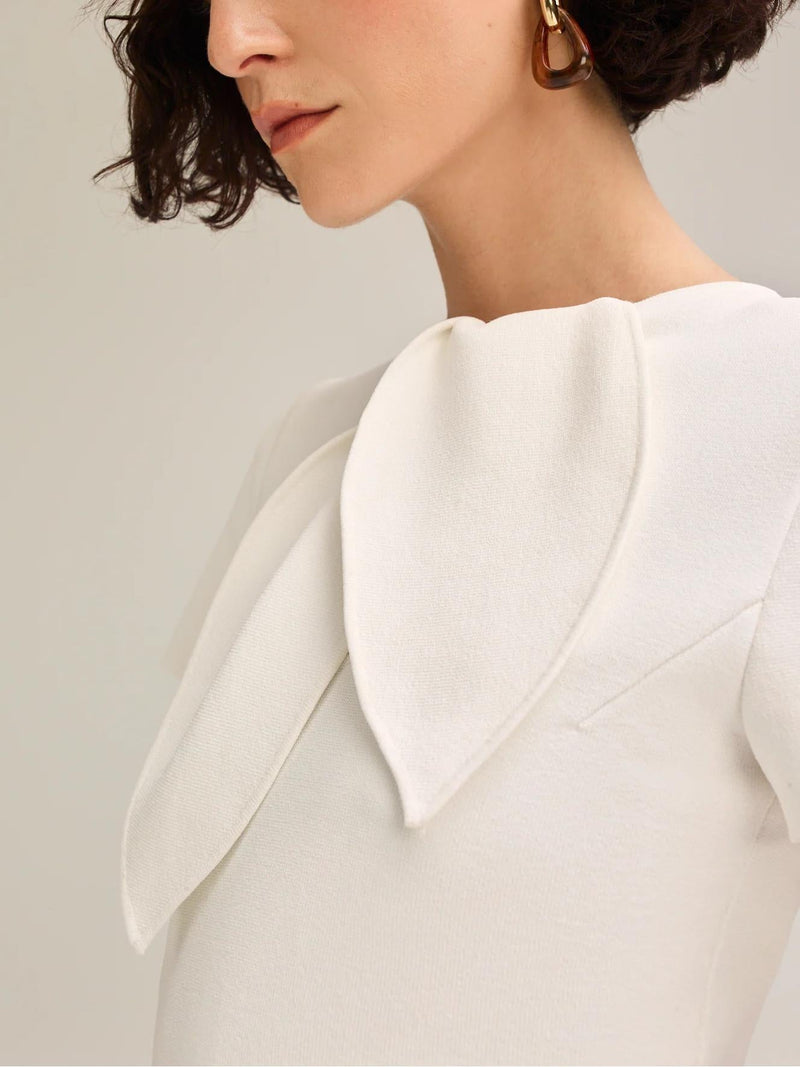 Crepe Knit Cravat Top & Pleated Suiting Maxi Skirt