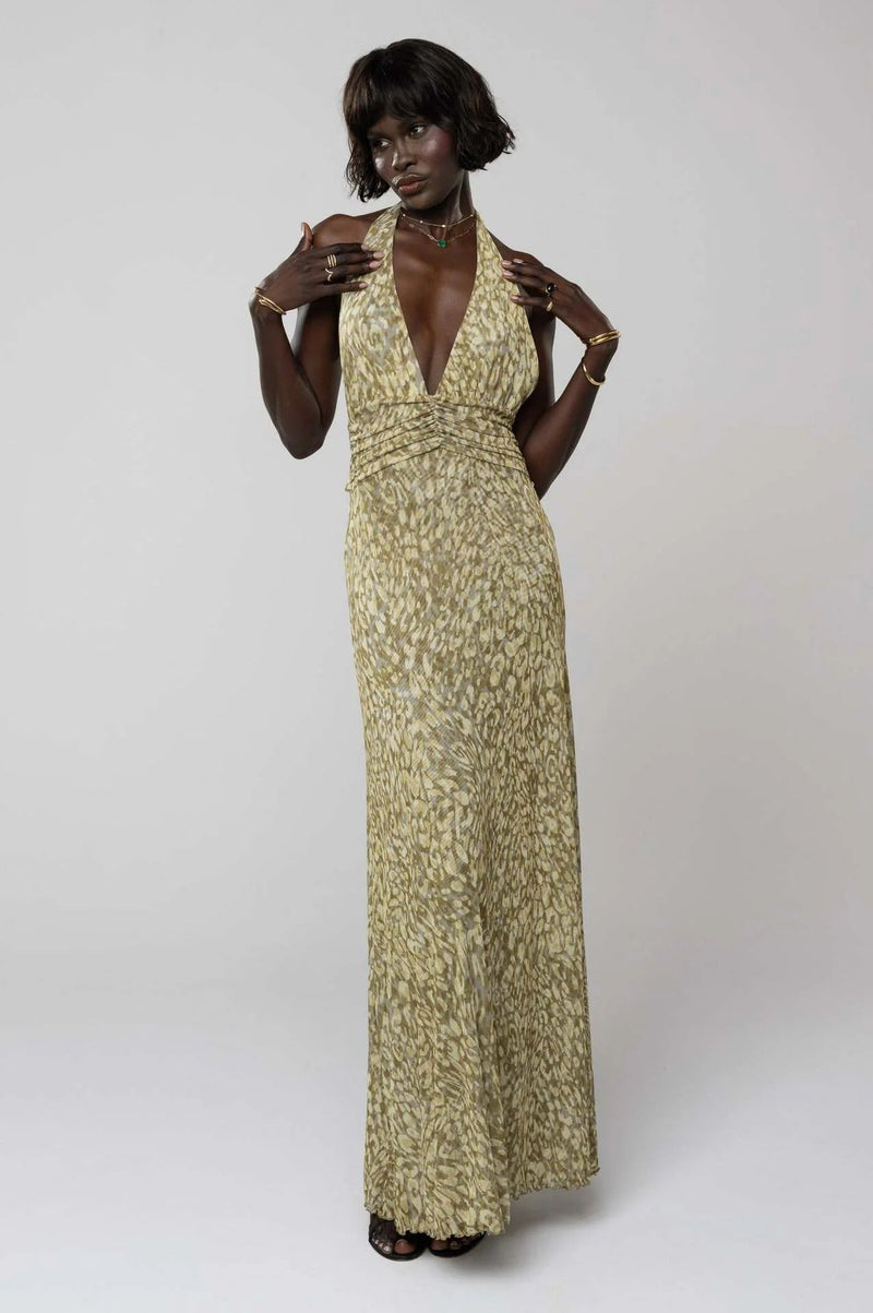 Camoni Polka Dot Diary Maxi Dress