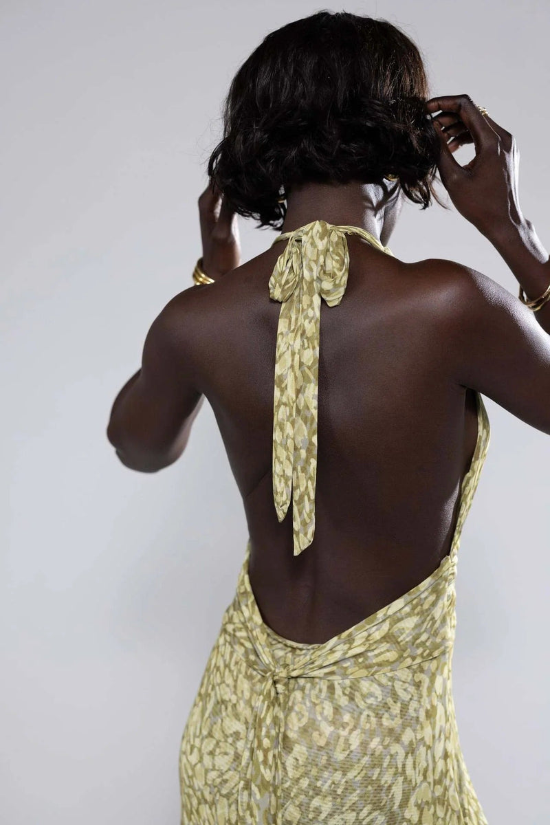 Camoni Polka Dot Diary Maxi Dress